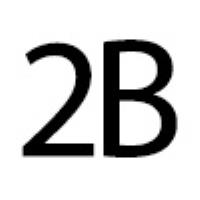 2B