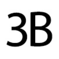 3B