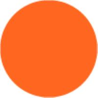 Neon Orange