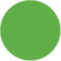 Light Green 062