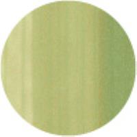 Spring Dim Green G82