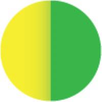 Yellow & Green