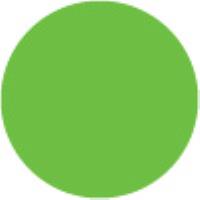 Bright Green "29"