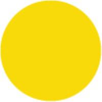 Cadmium Yellow Pale