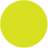 205 Cadmium Yellow Lemon