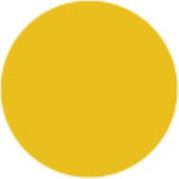 Medium Yellow
