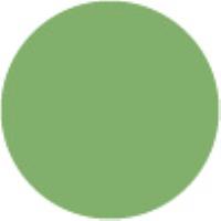 Cobalt Green Pale G242*