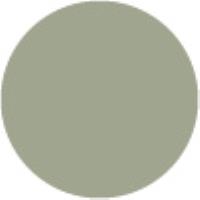 Grayish Green Pale G242*
