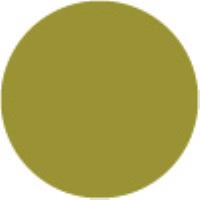 Olive Pale Y224