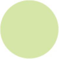 Spring Dim Green GY175