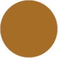 Raw Sienna E866