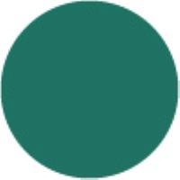 Turquoise Green BG53